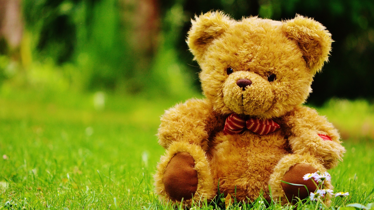 Красивый плюшевый медведь на зеленой траве 