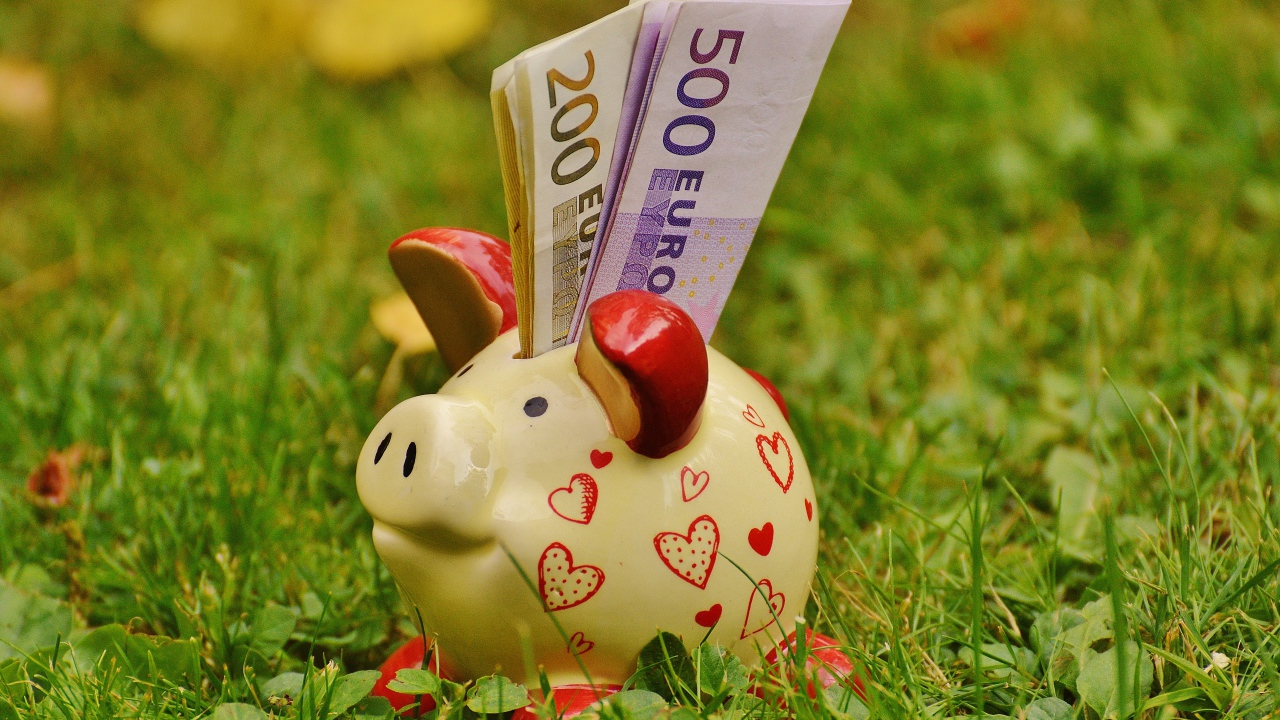 Свинья копилка с купюрами евро на траве