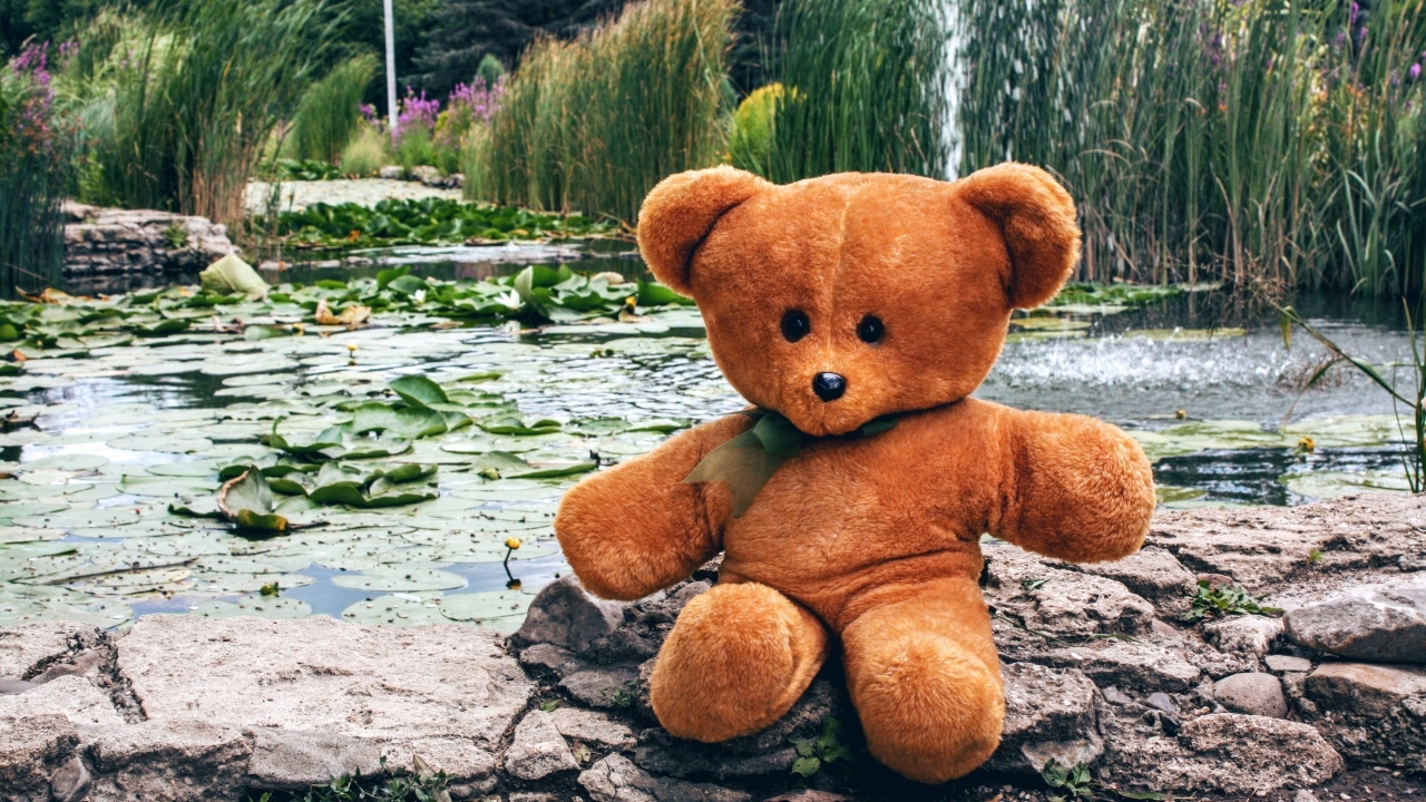 Плюшевый медведь сидит на камне у пруда