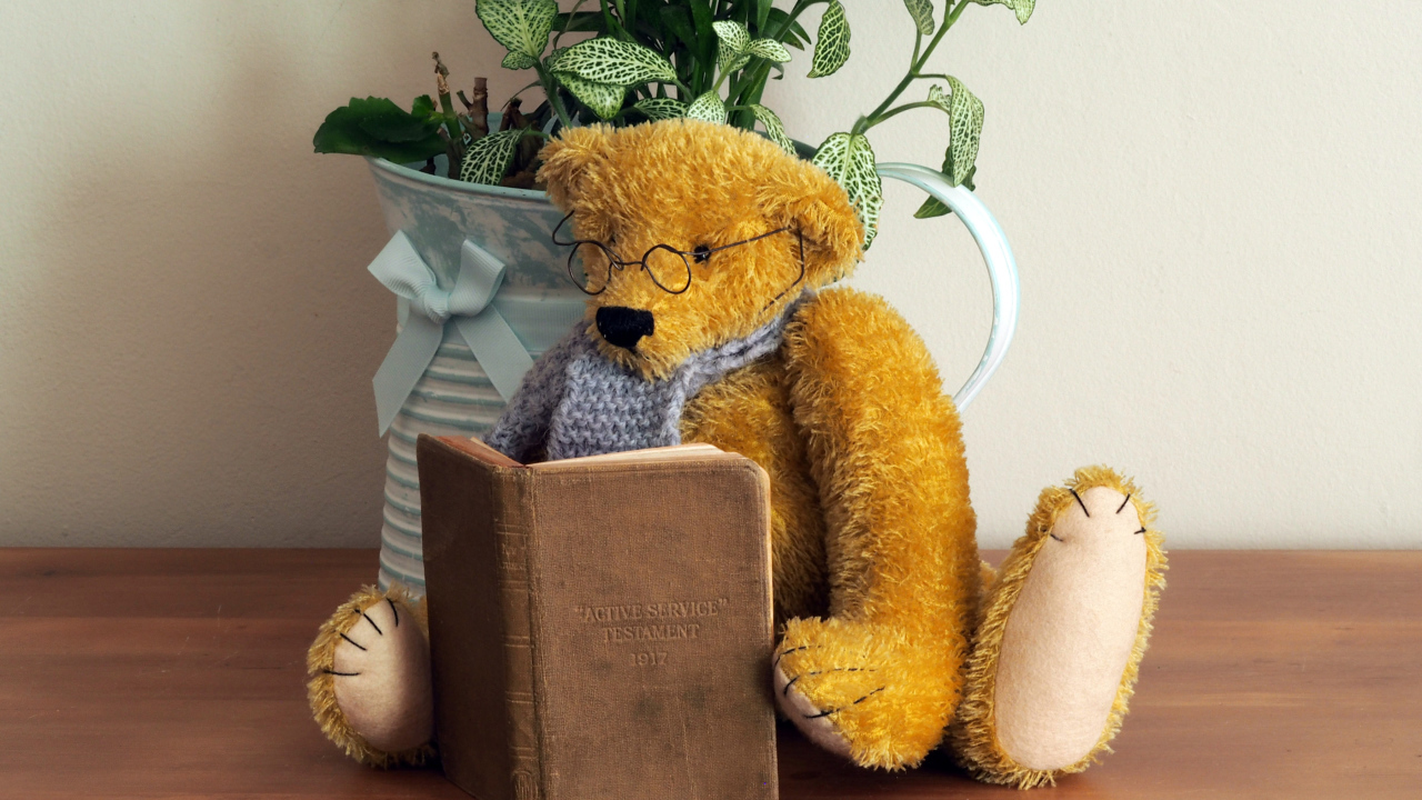 Teddy bear with glasses with a book on the shelf
