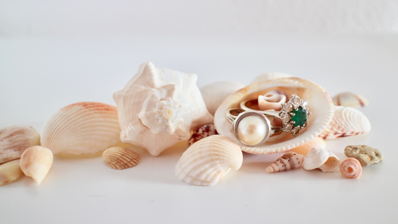 Кольца и ракушки на белом фоне
