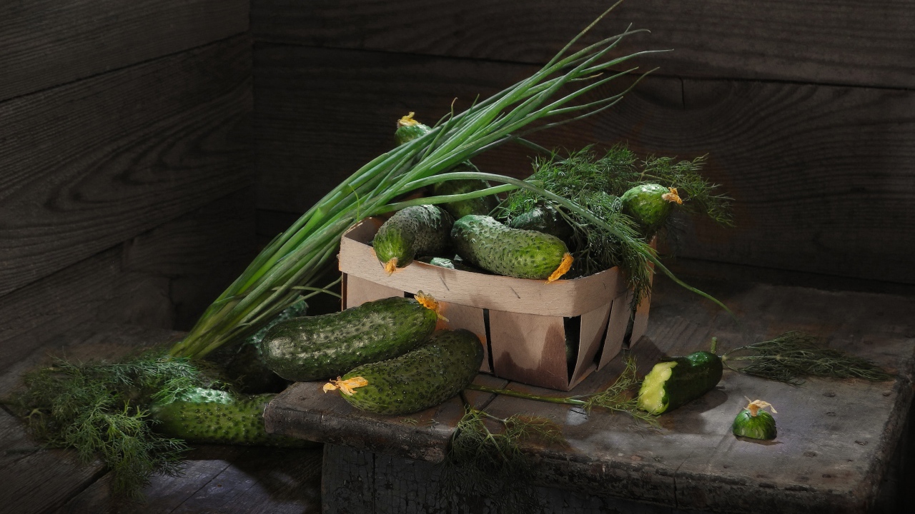 Свежие огурцы на столе  с зеленым луком и укропом