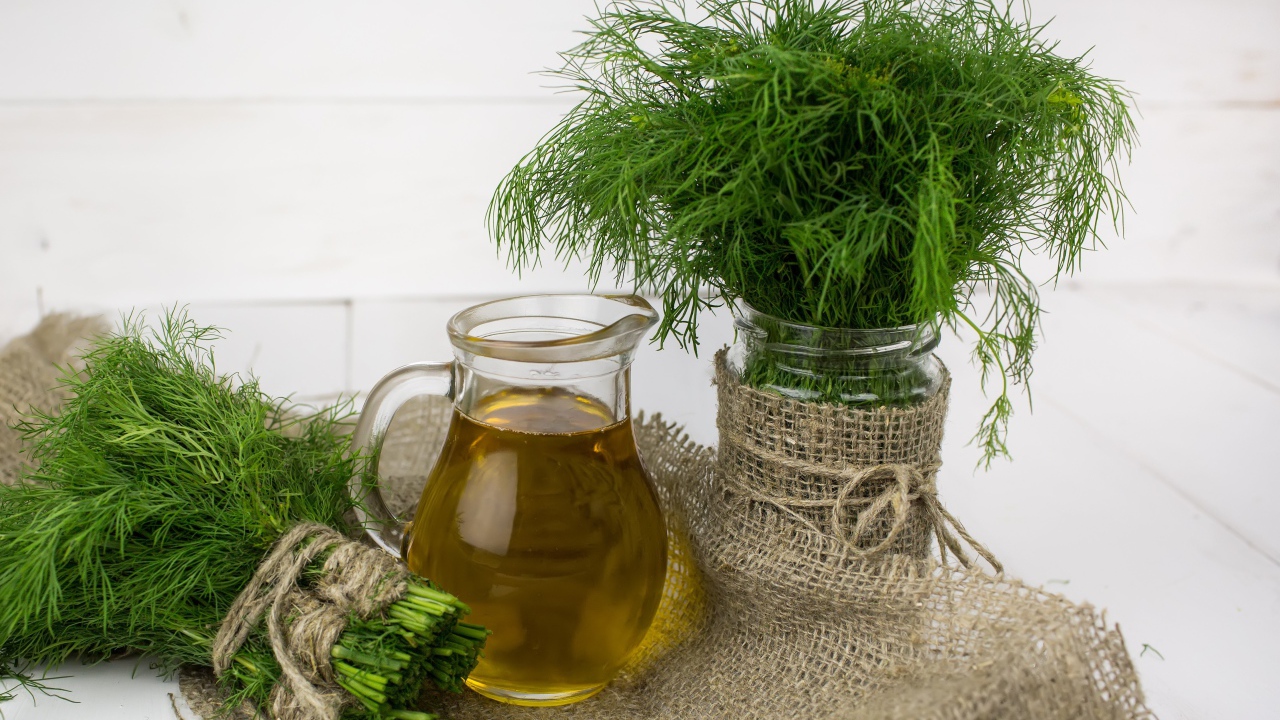 Свежий укроп на столе с оливковым маслом 