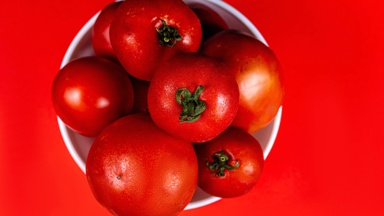 Крупные помидоры в белой миске на красном фоне