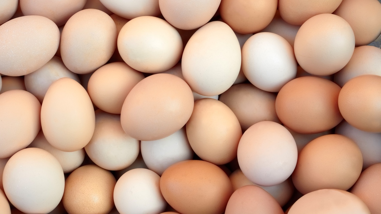 Много домашних яиц крупным планом