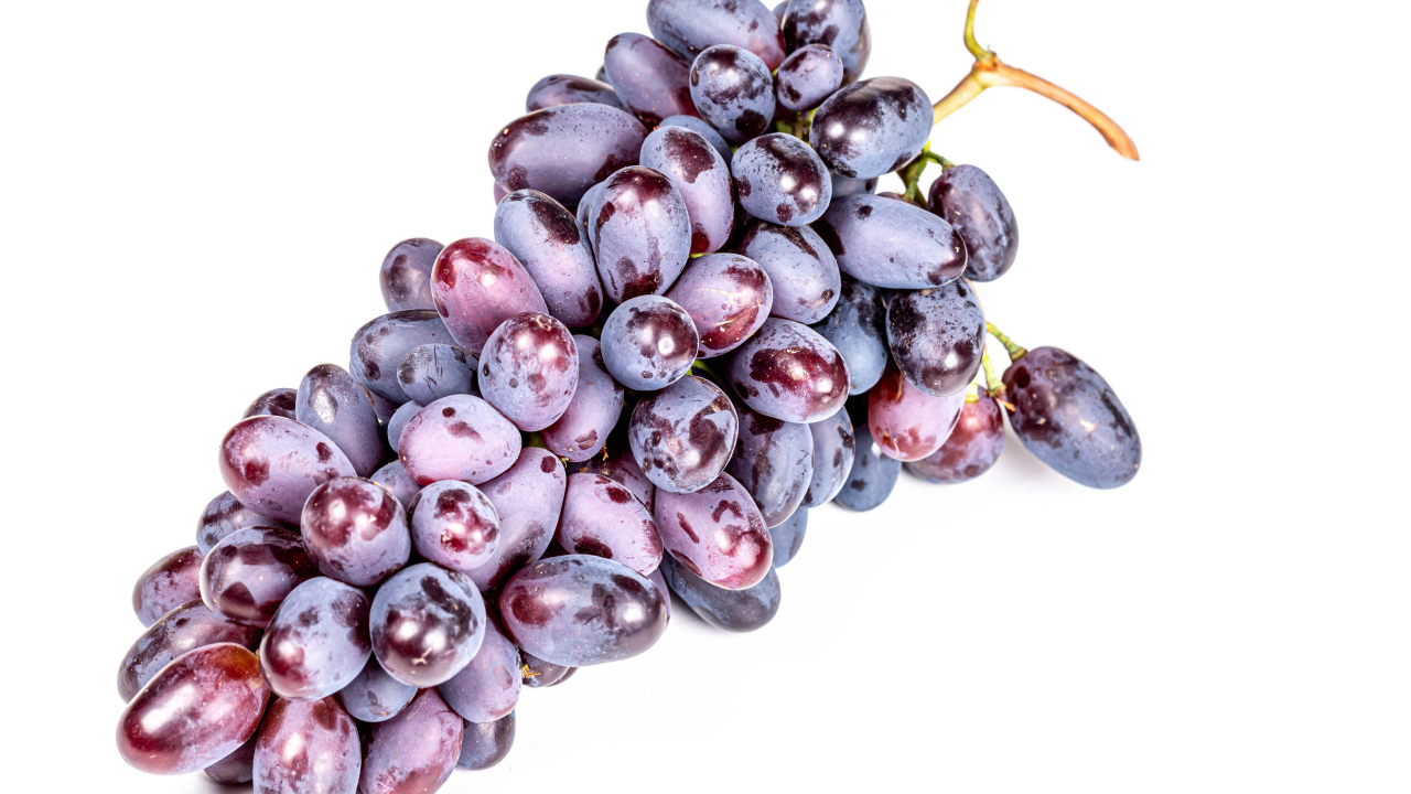 Гроздь синего винограда на белом фоне крупным планом