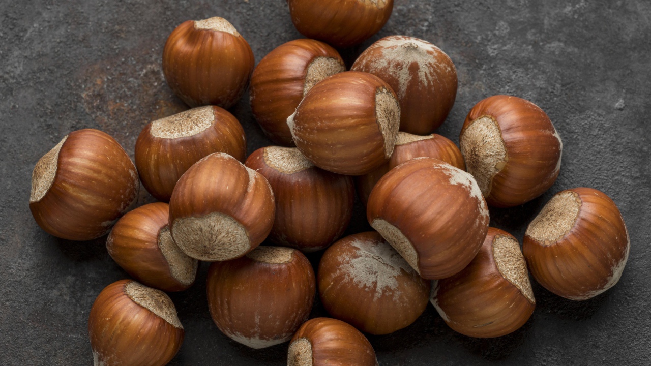 Много лесных орехов на сером столе 