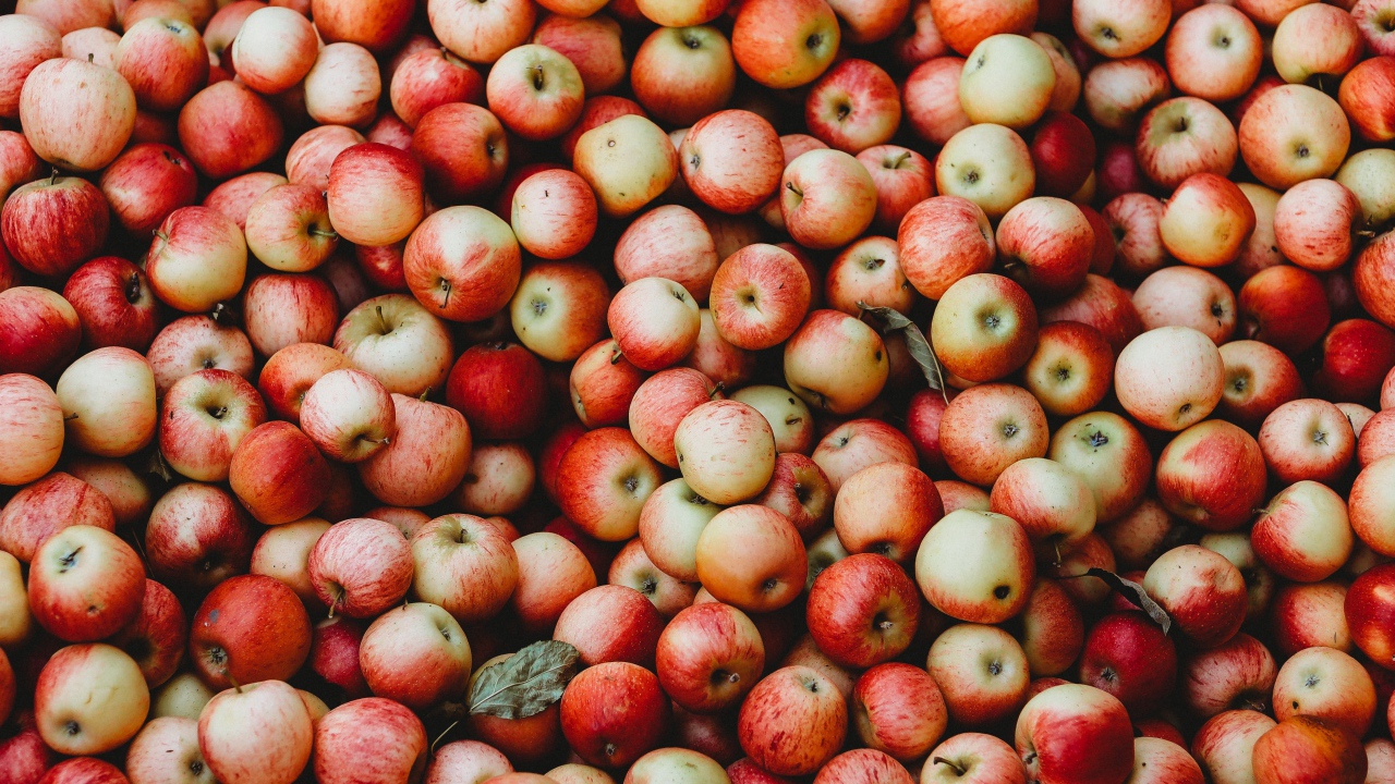 Many ripe red apples close up
