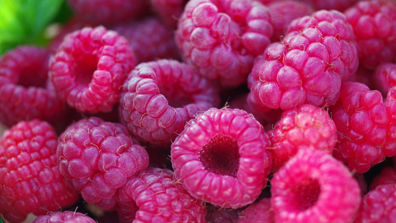 Спелые крупные ягоды малины 