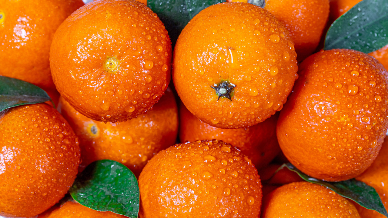Мандарины в каплях воды крупным планом
