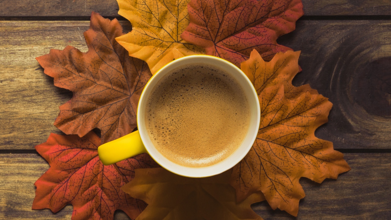 Чашка горячего кофе стоит на осенних листьях 