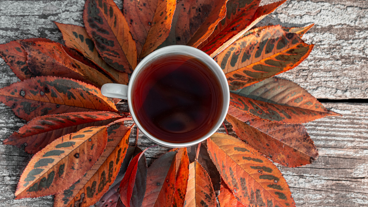 Чашка чая на столе с желтыми листьями