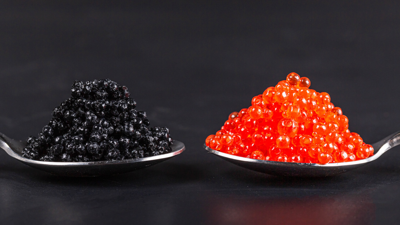 Красная и черная икра на ложках на сером фоне