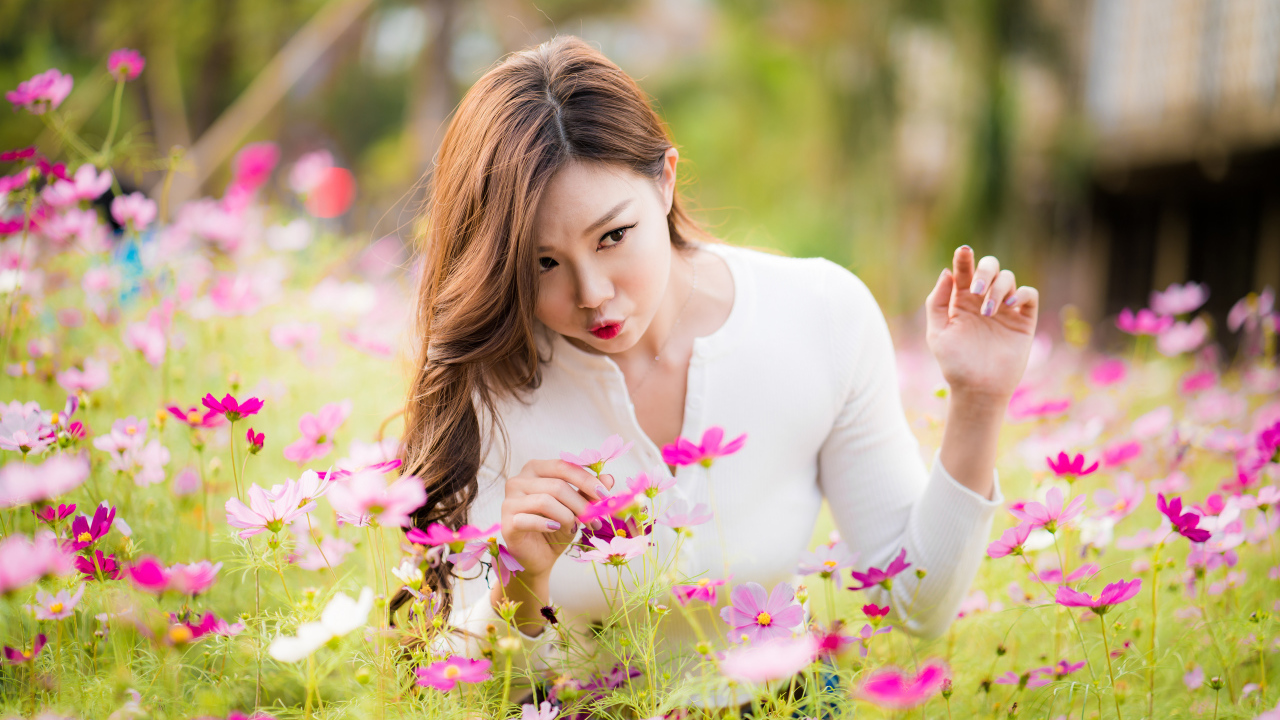 Красивая девушка азиатка в цветах космеи