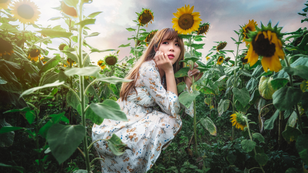 Красивая девушка азиатка на поле с подсолнухами 