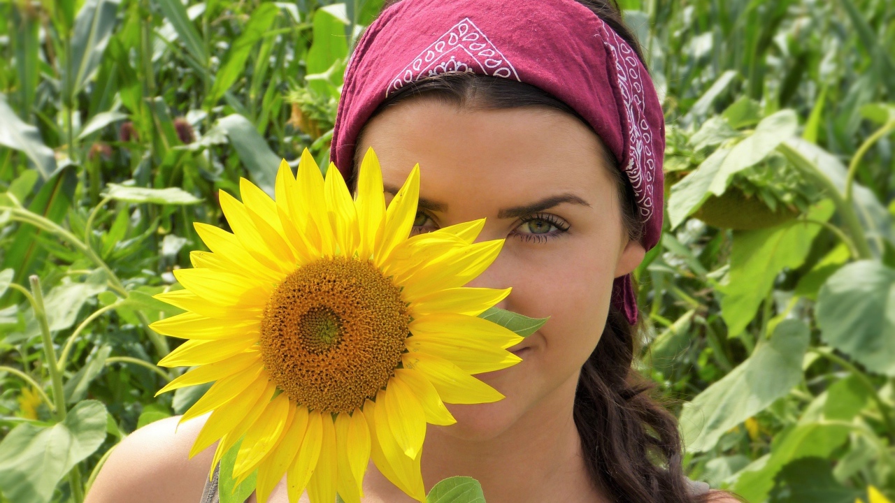 Красивая девушка держит в руках цветок подсолнуха