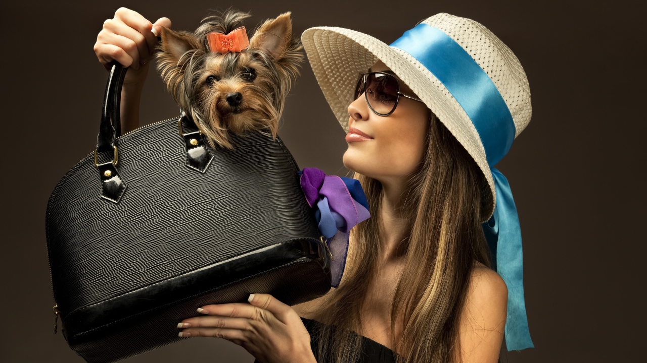 Девушка в шляпе с собакой в черной сумке 