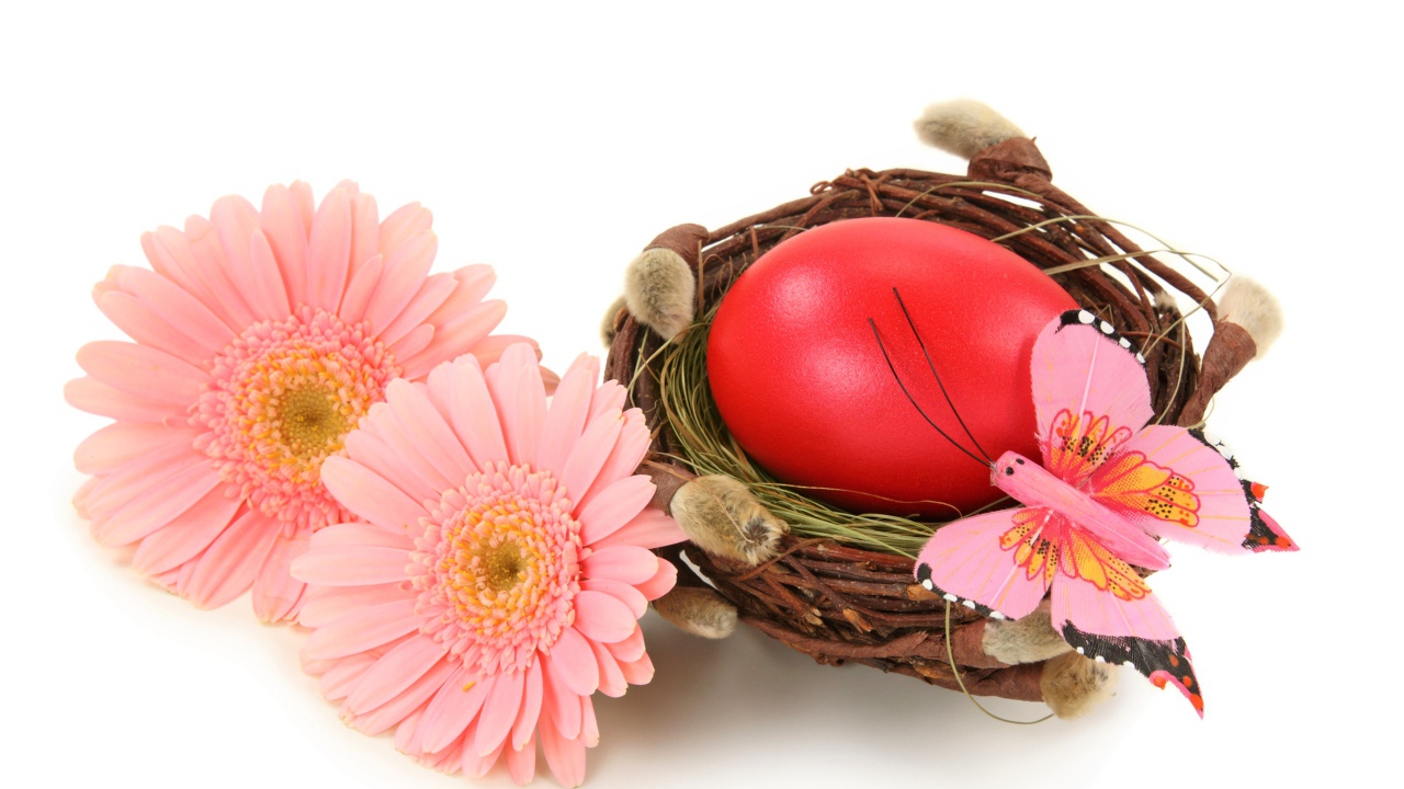 Яйцо в гнезде с розовыми герберами на белом фоне на Пасху