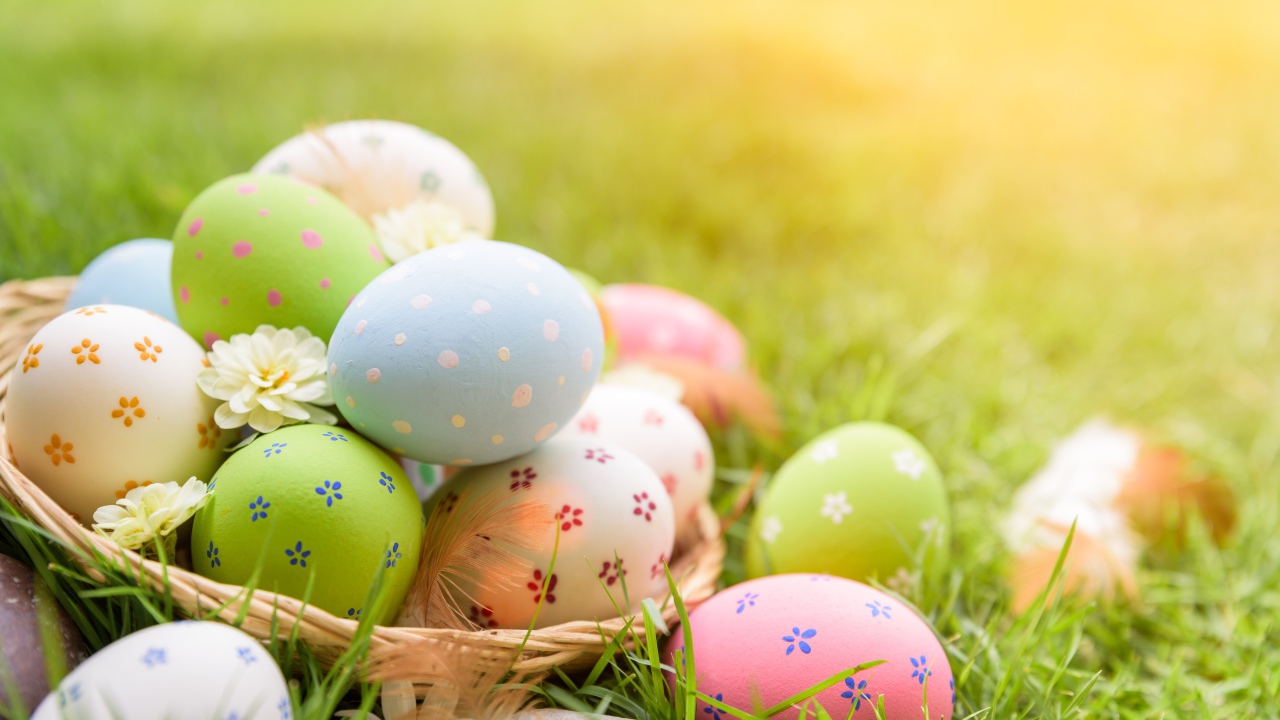 Разноцветные пасхальные яйца в корзинке на зеленой траве