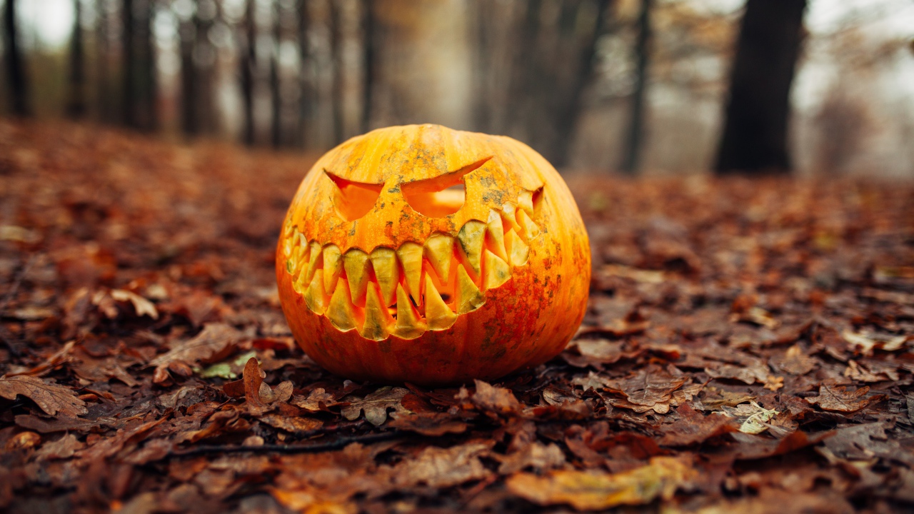 Злобная тыква в лесу на листве на праздник Хэллоуин