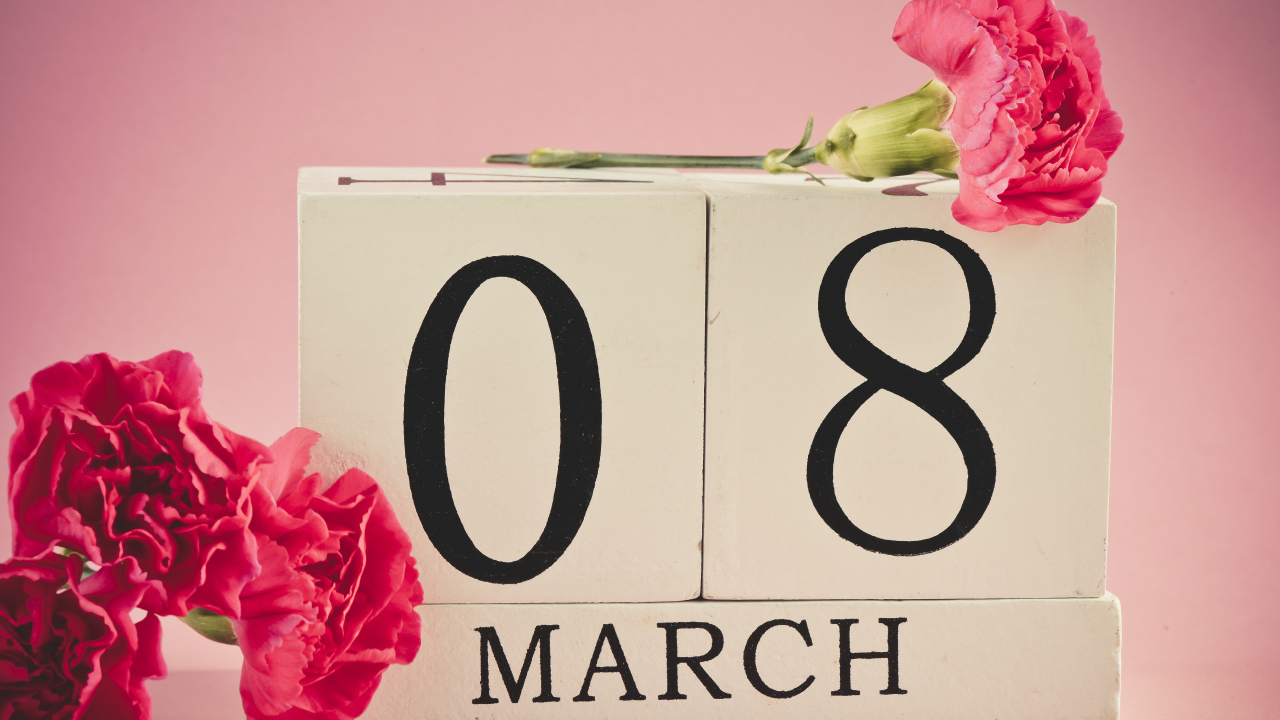 Розовые гвоздики в подарок на 8 марта