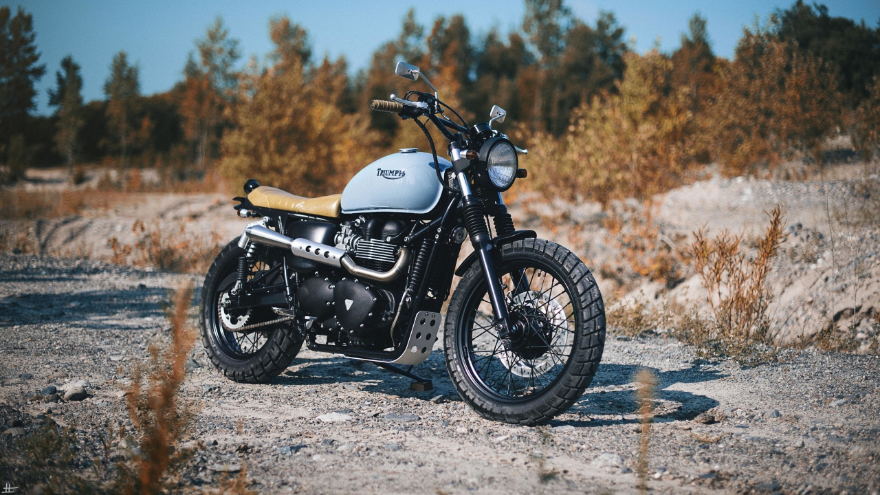 Мотоцикл Triumph Bonneville на дороге в лесу 