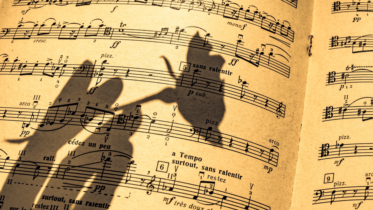 Тень розы на нотной тетради 