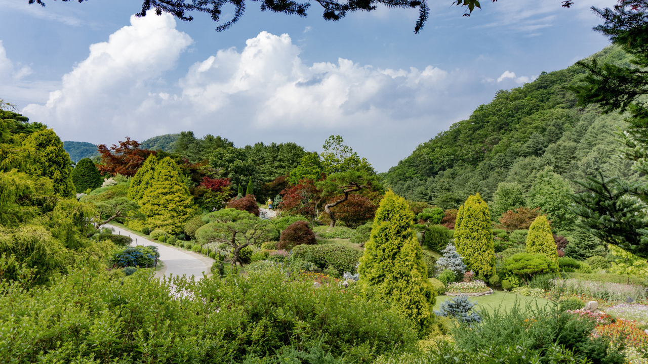 Красивый зеленый парк под голубым небом, Корея