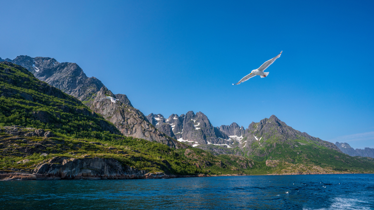 Живописные Лофотенские острова под голубым небом