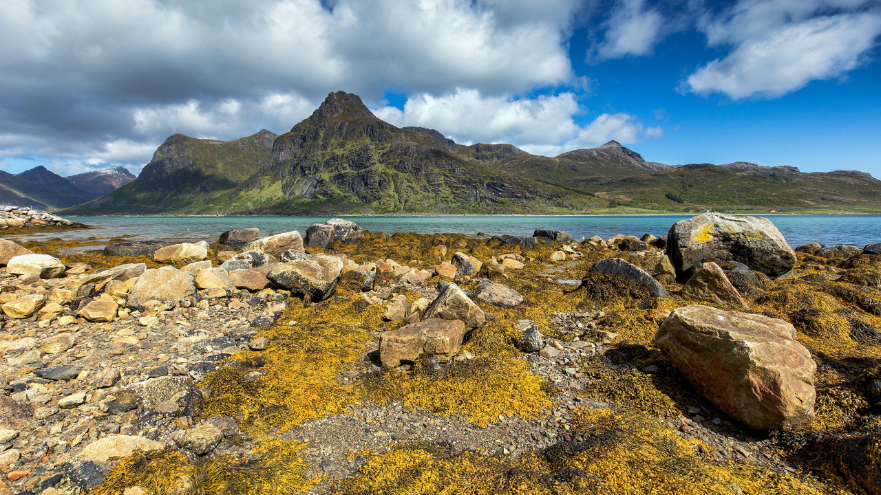 Камни на берегу реки под белыми облаками в голубом небе 