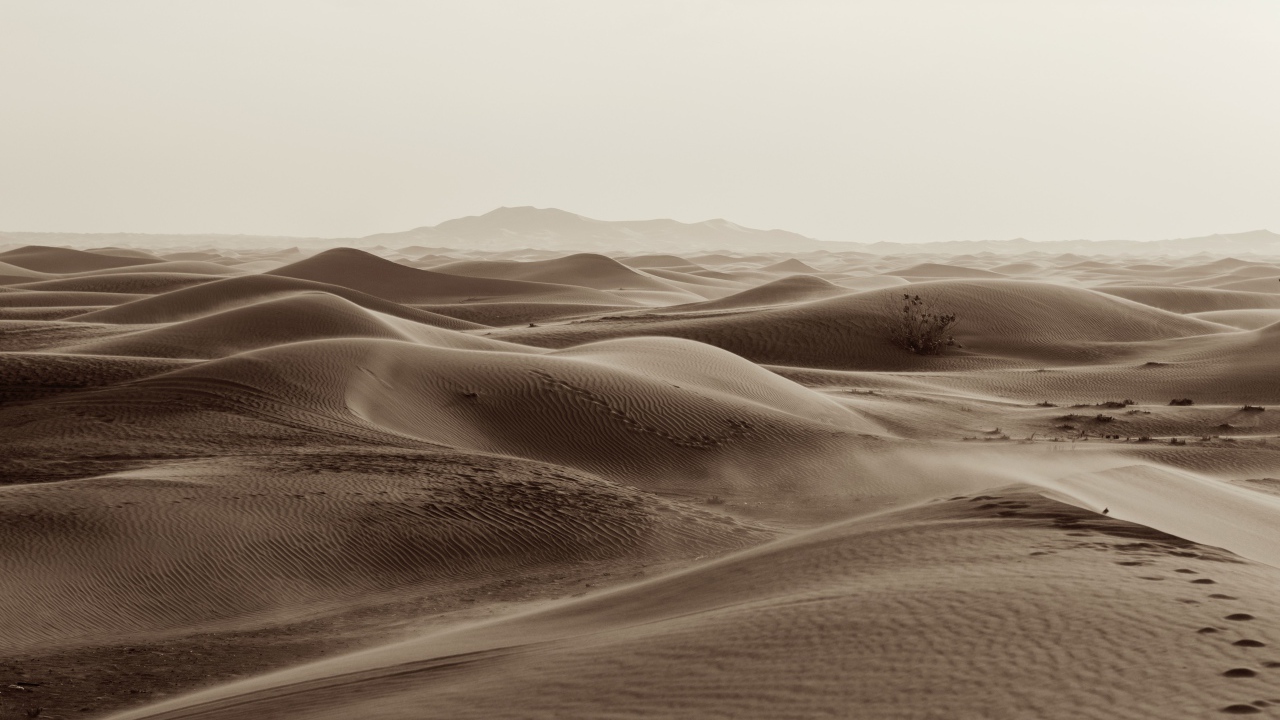 Бескрайние пески пустыни 