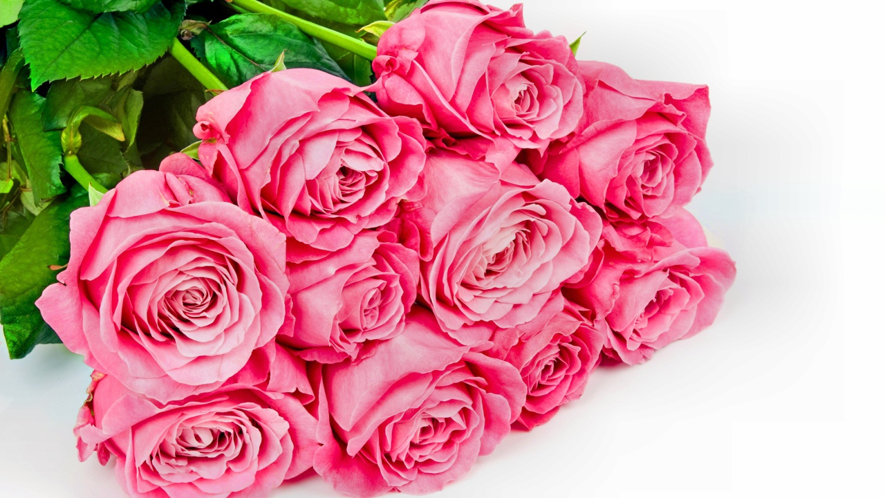 Большой букет розовых роз с зелеными листьями на белом фоне для любимой 