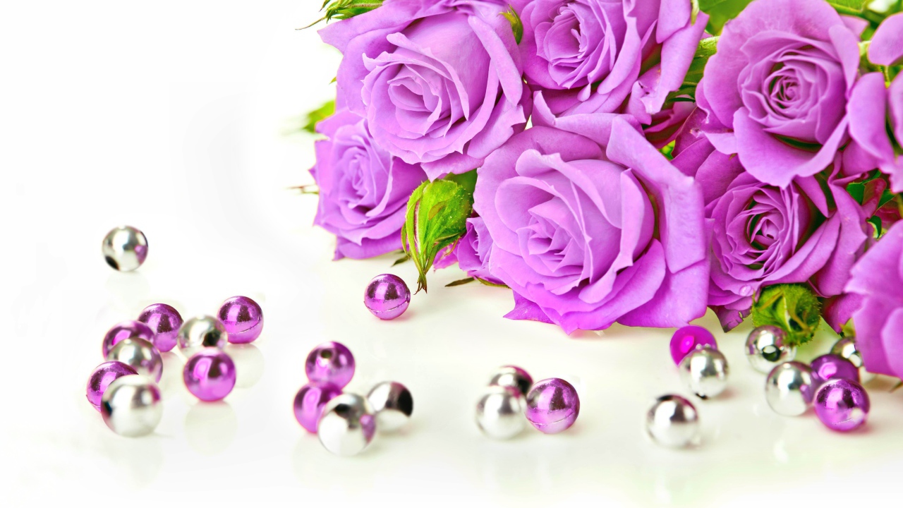Красивые сиреневые розы на белом фоне с бусинами