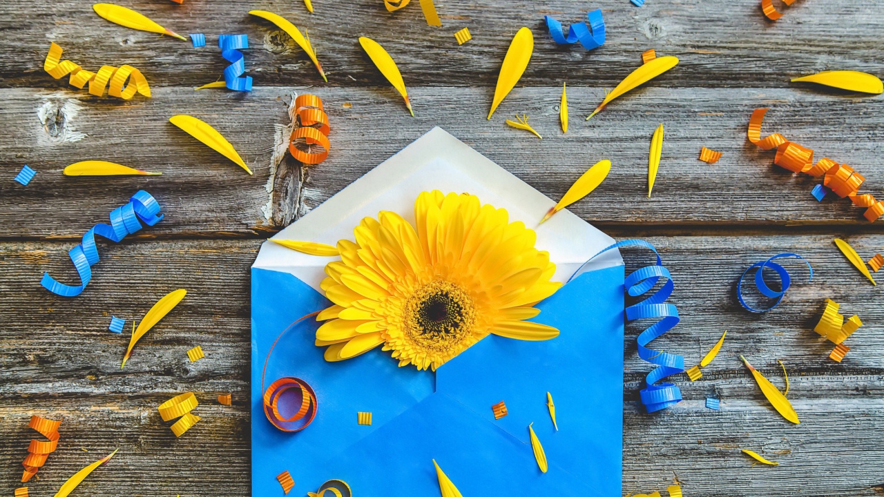 Синий конверт с желтым цветком гербер 