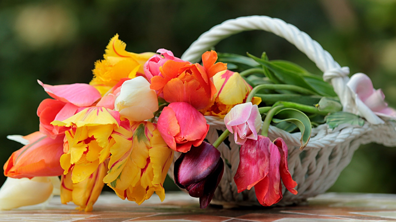 Букет красивых разноцветных тюльпанов в корзине 