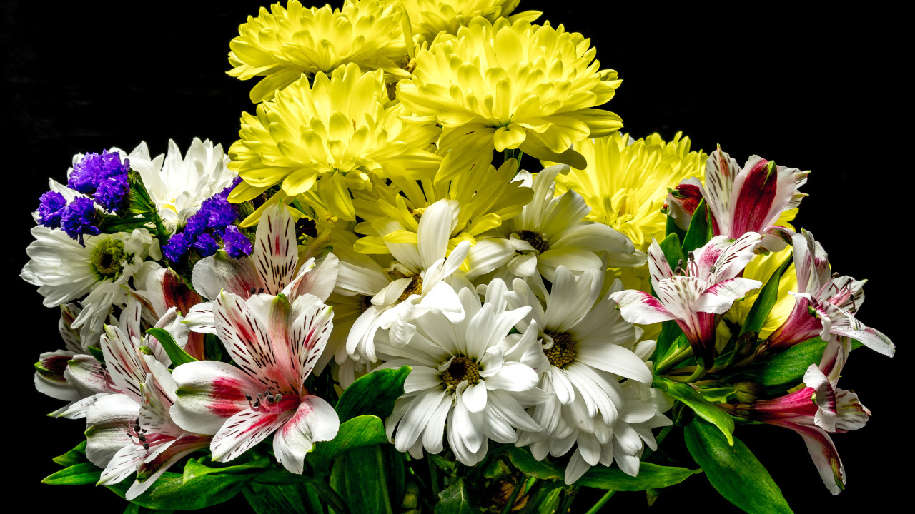 Букет из цветов хризантемы и альстромерии на черном фоне
