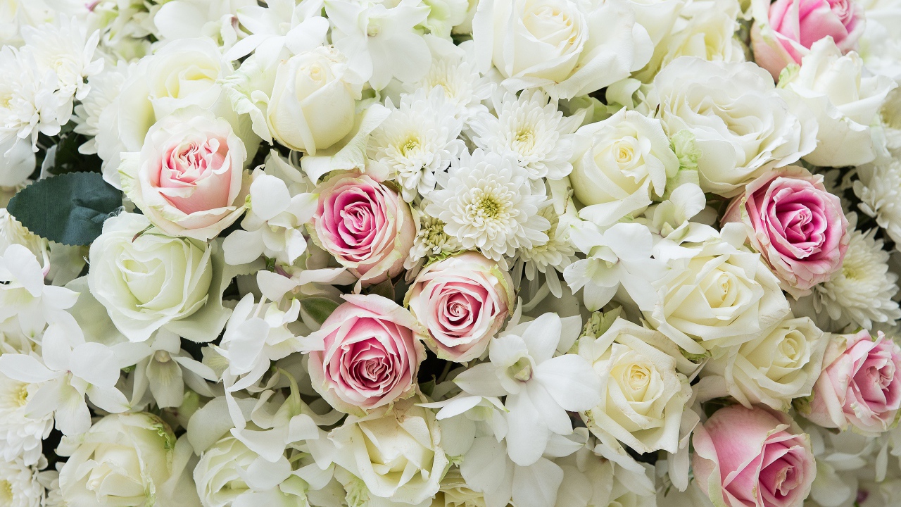 Букет розовых и белых роз с цветами хризантемы
