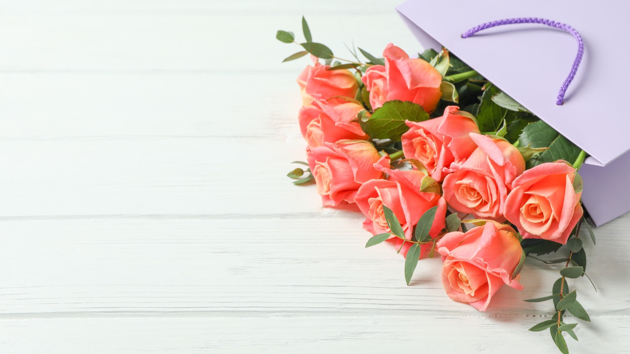 Букет розовых роз в подарочном пакете на белом фоне