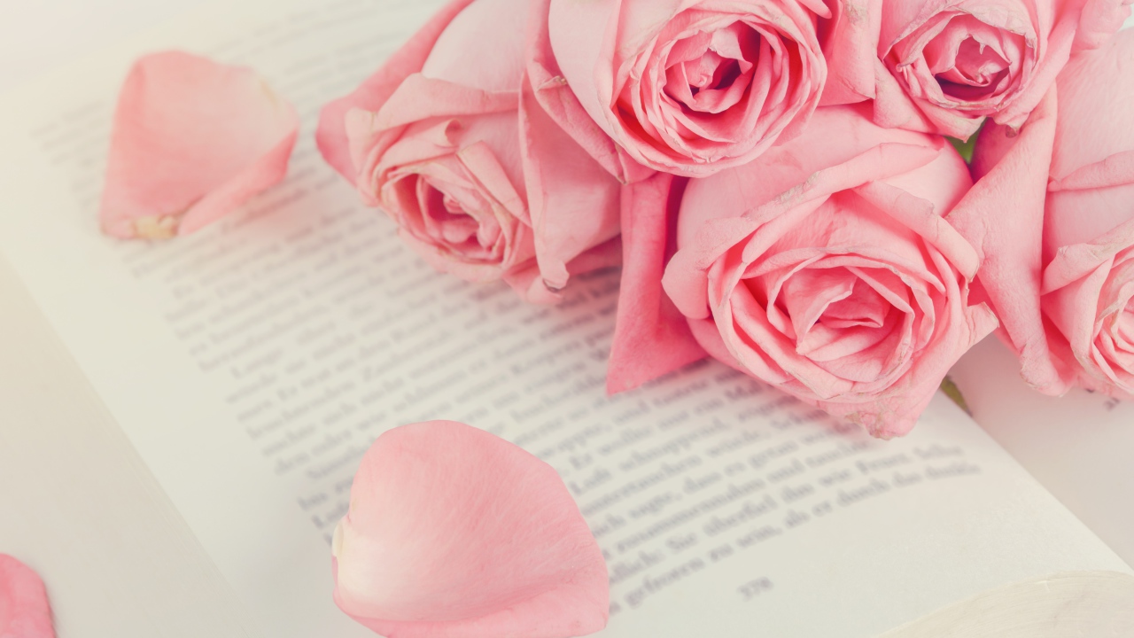 Букет розовых роз на книге
