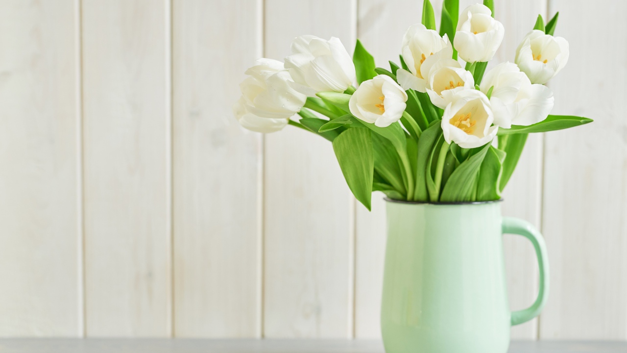 Букет белых тюльпанов в вазе на белом фоне 