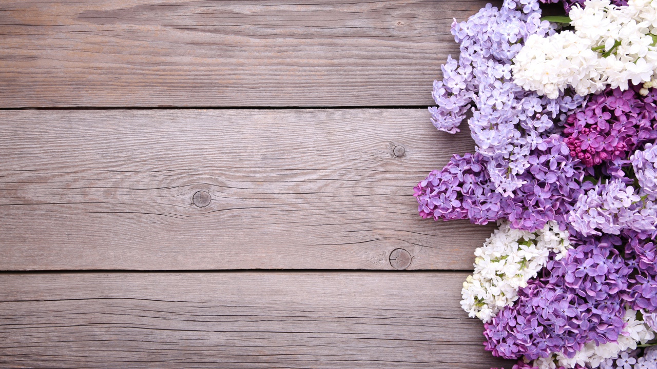 Разноцветные цветы сирени на деревянном фоне