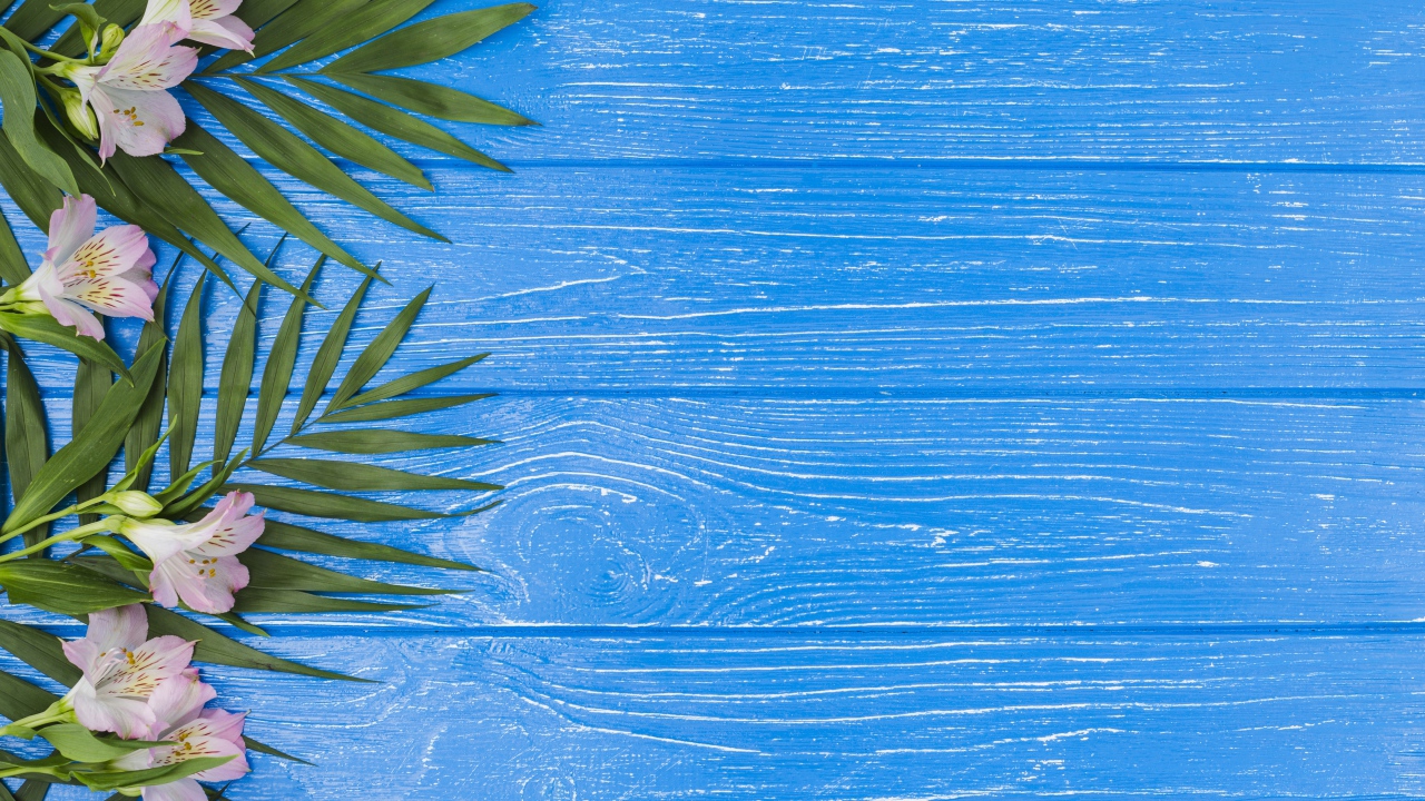 Розовые цветы альстромерии с зелеными листьями на голубом столе 