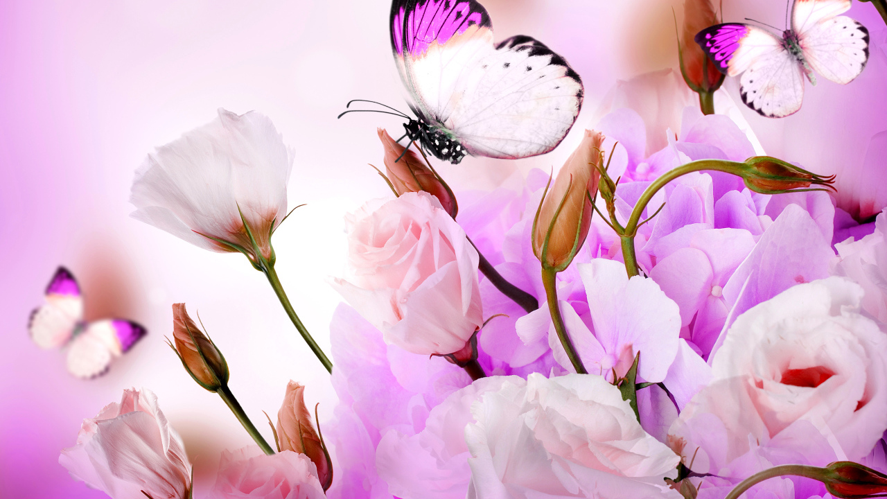 Розовые цветы эустомы с бутонами на фоне с бабочками