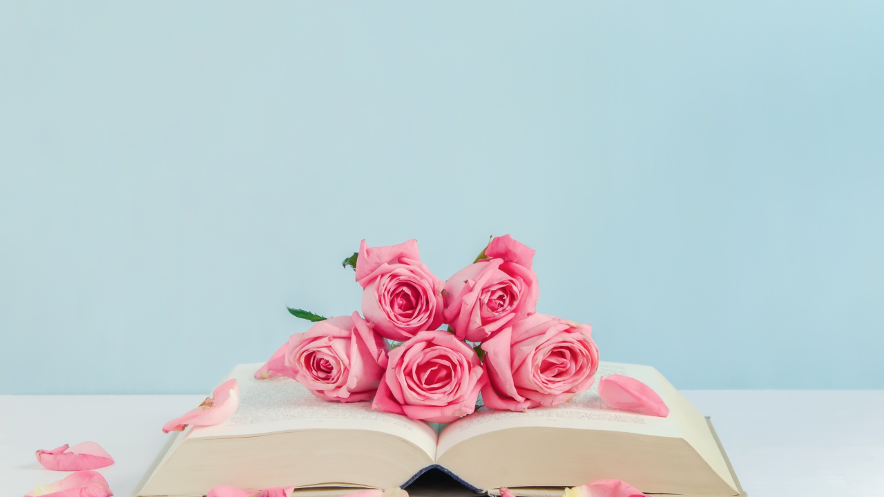 Розовые цветы розы с книгой на голубом фоне