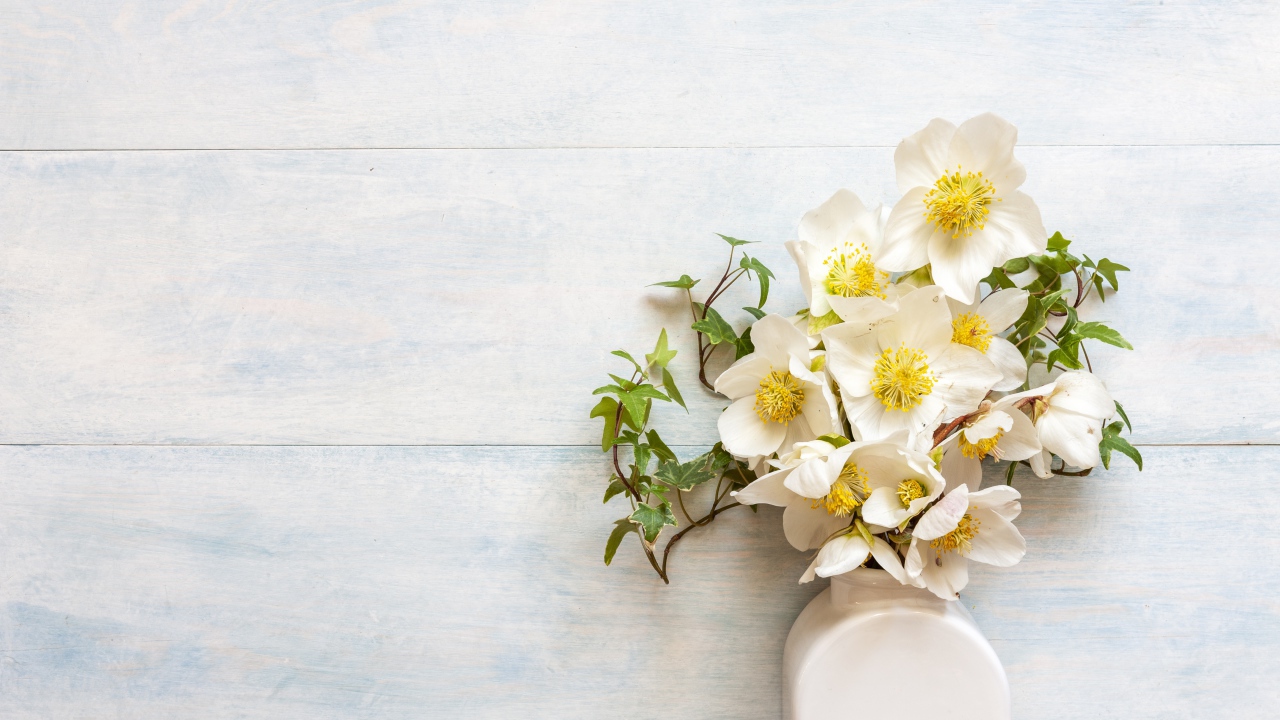 Белые цветы морозника в вазе у стены