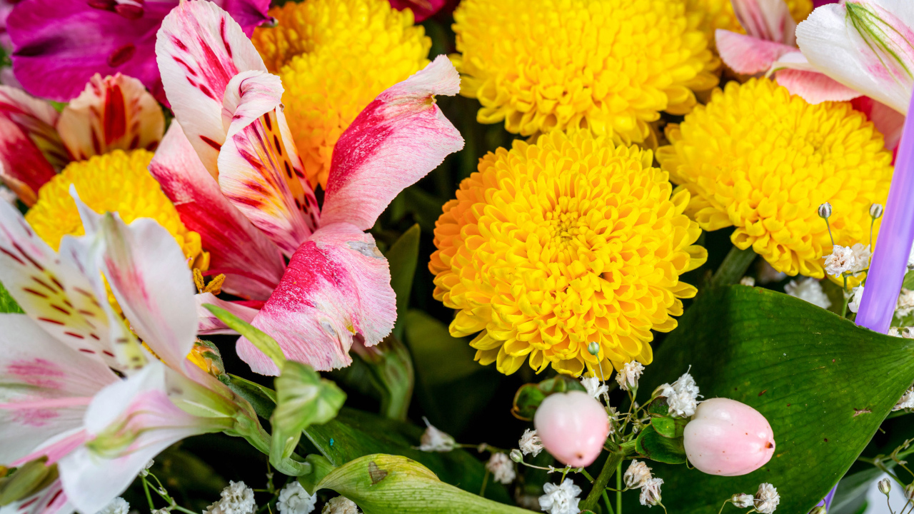Желтые хризантемы и цветы альстромерии в букете 