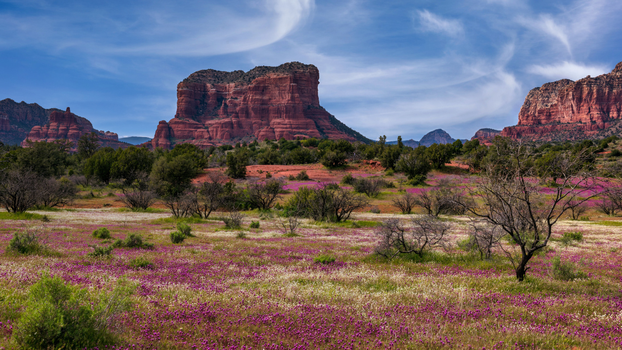 Скалистые горы под красивым голубым небом, США