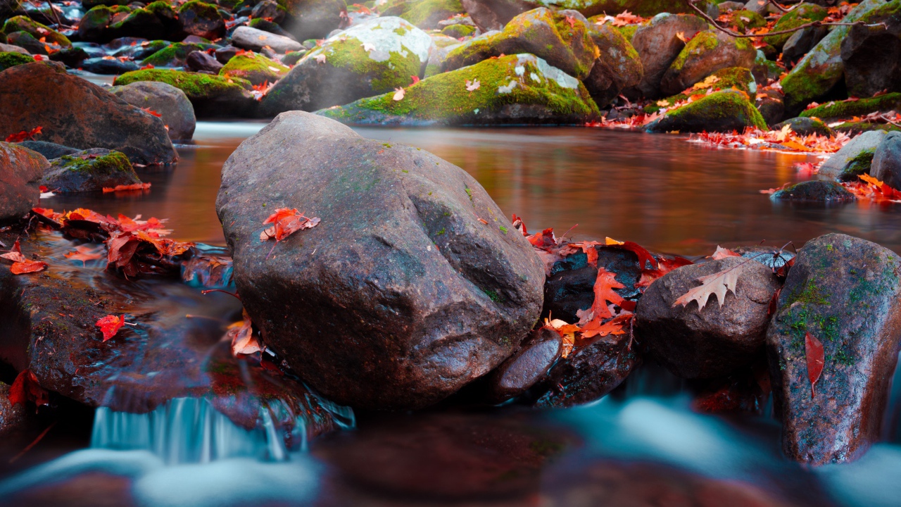 Большие мокрые камни с мхом в реке