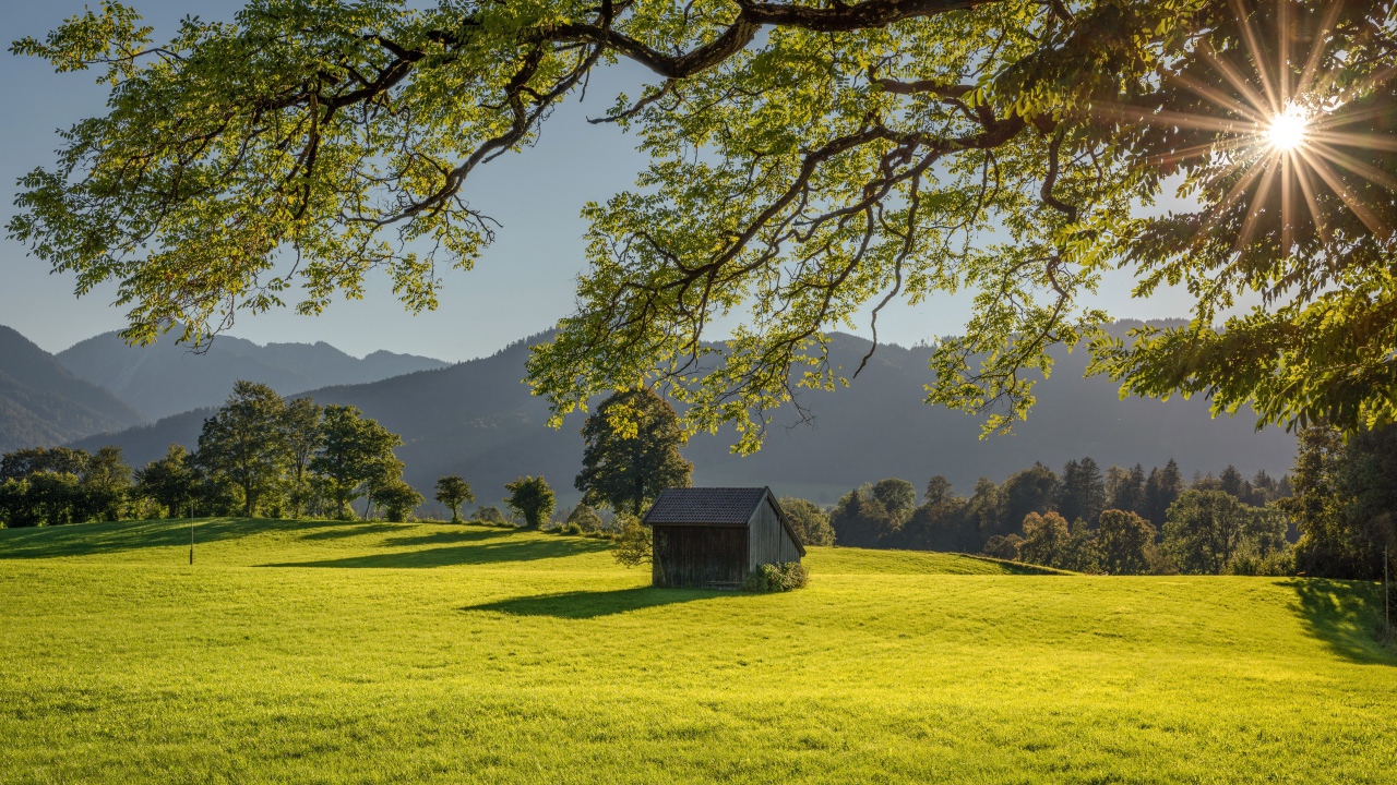 Сарай стоит на зеленой поляне в лучах солнца на фоне гор