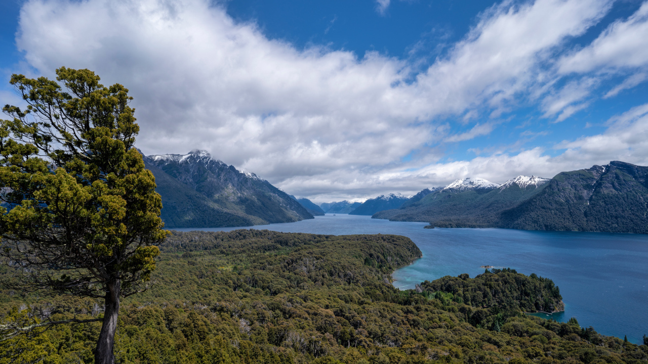 Красивый вид на реку под голубым небом с белыми облаками